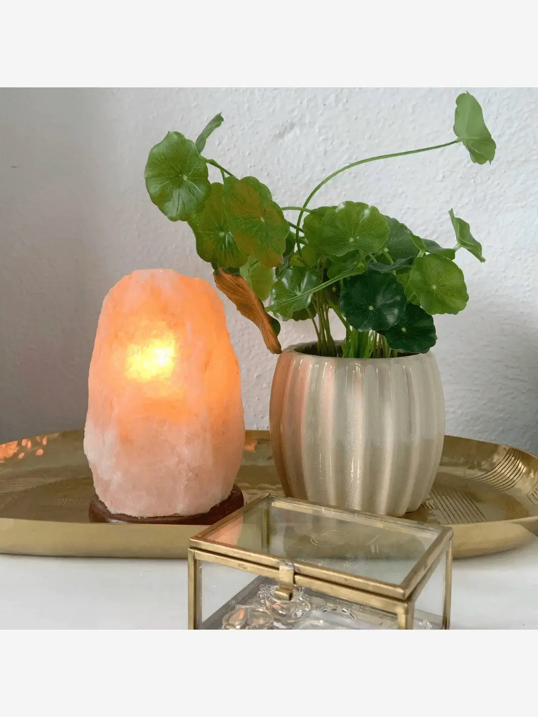 lampe de sel de l himalaya avec une grosse pierre de sel qui s illumine sur un socle en bois allumee et posee sur un plateau a cote d un pot de plante design